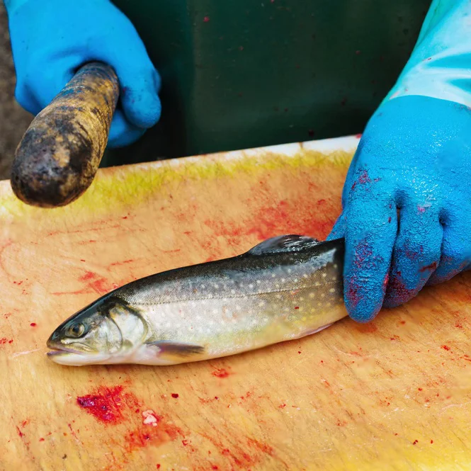 Tuer un poisson